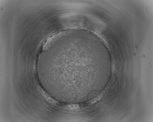 X0000085000353200703191056