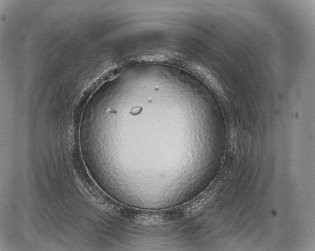 X0000085000354200703191056