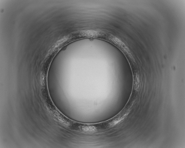 X0000085000355200703191056