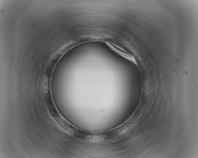 X0000085000356200703191056