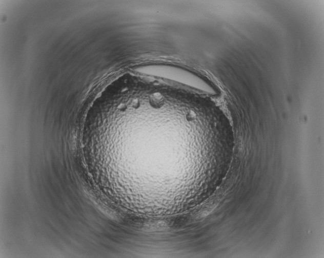 X0000085000357200703191056