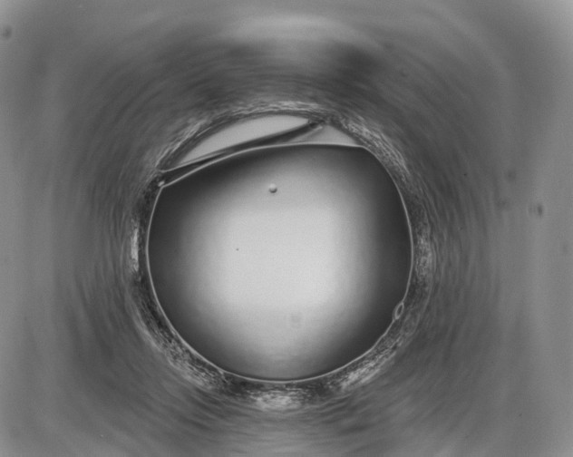 X0000085000358200703191056