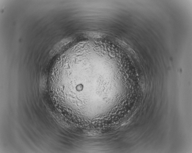 X0000085000359200703191056