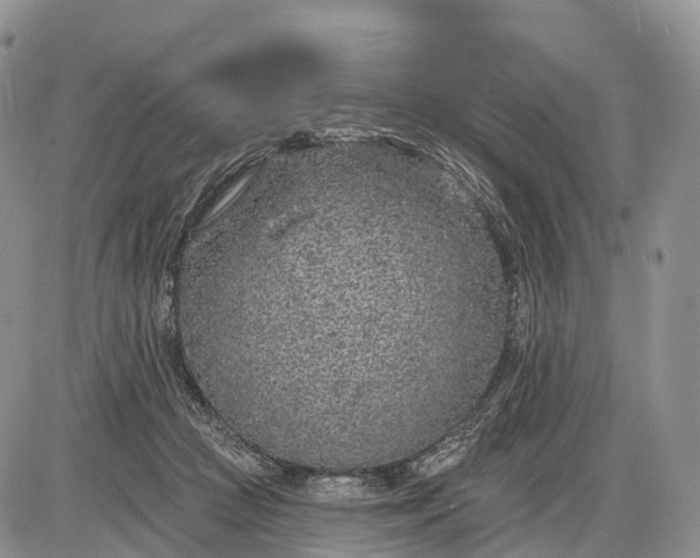 X0000085000361200703191056