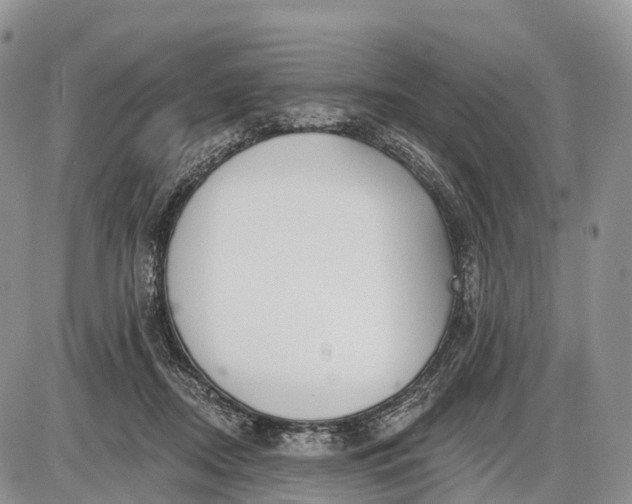 X0000085000362200703191056