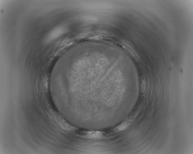 X0000085000363200703191056