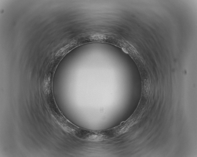 X0000085000364200703191056