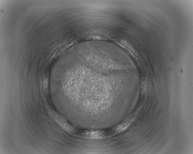 X0000085000365200703191056