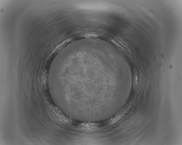 X0000085000367200703191056