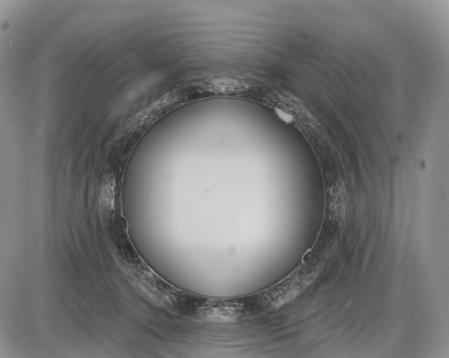 X0000085000368200703191056