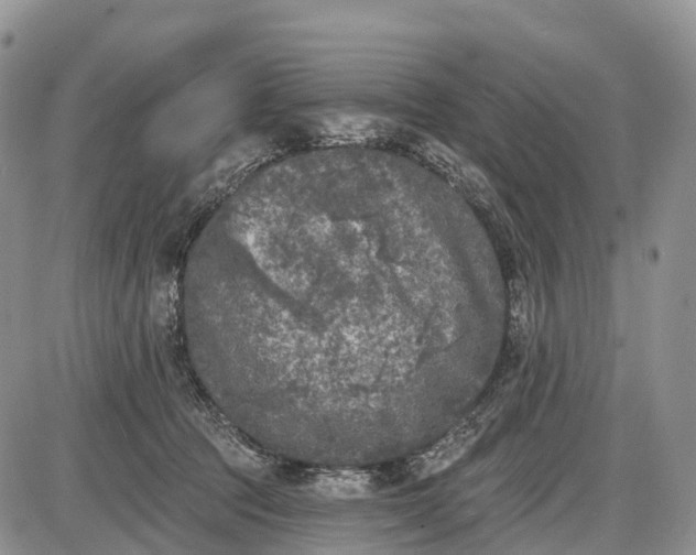 X0000085000369200703191056