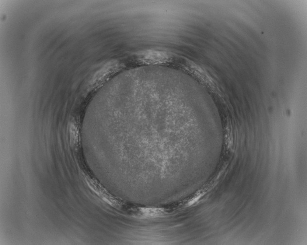 X0000085000371200703191056