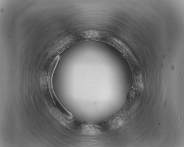 X0000085000372200703191056