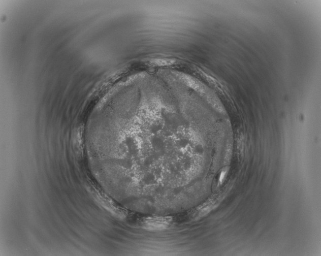 X0000085000373200703191056