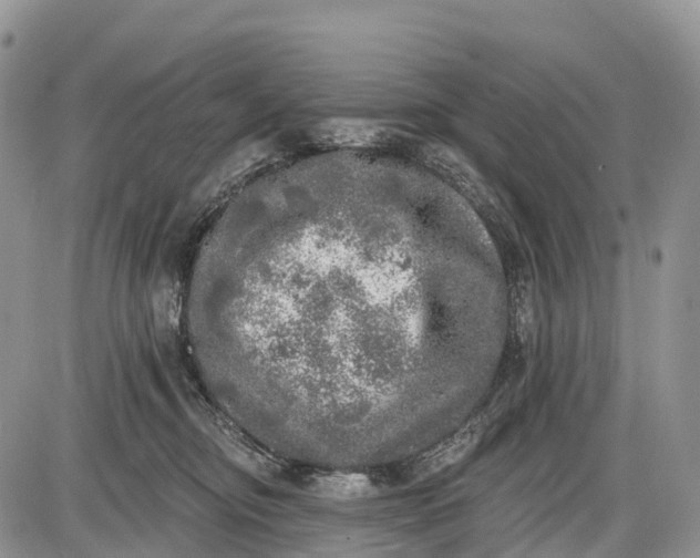 X0000085000374200703191056