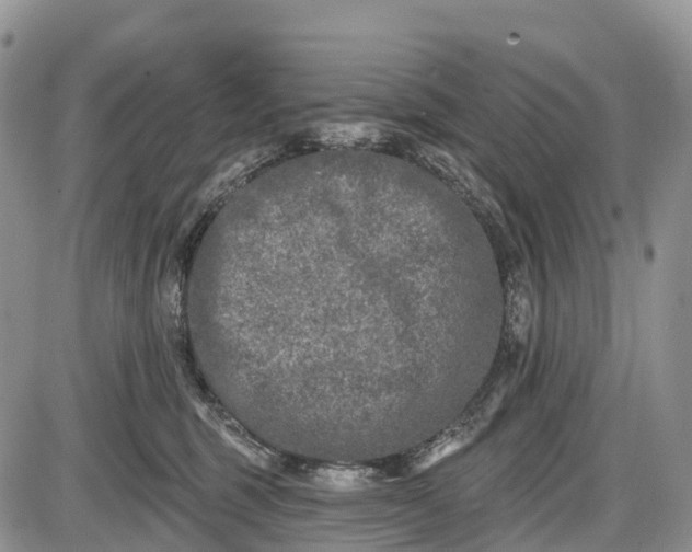 X0000085000375200703191056