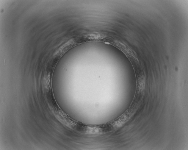 X0000085000376200703191056