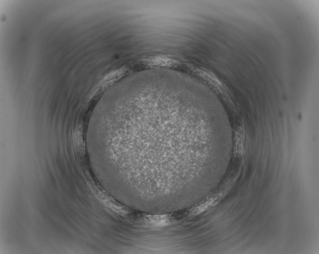 X0000085000377200703191056