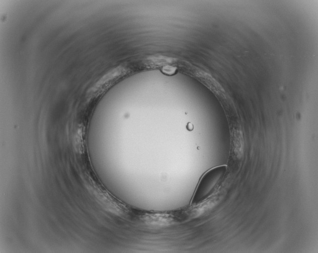 X0000085000378200703191056