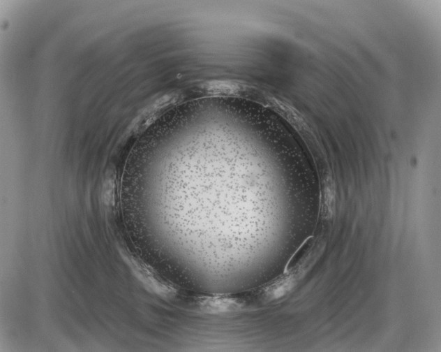 X0000085000379200703191056