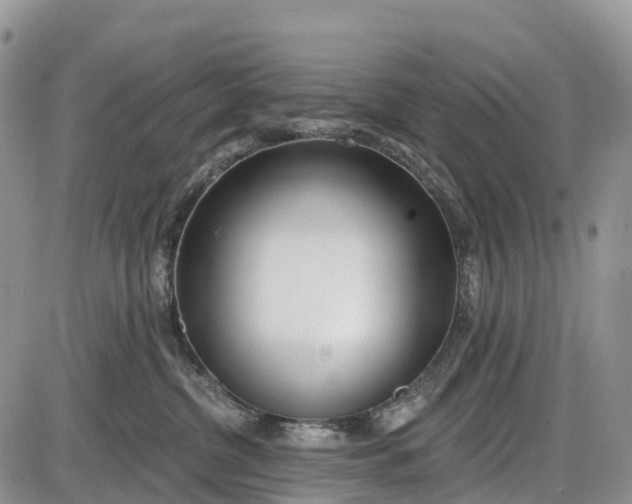 X0000085000380200703191056