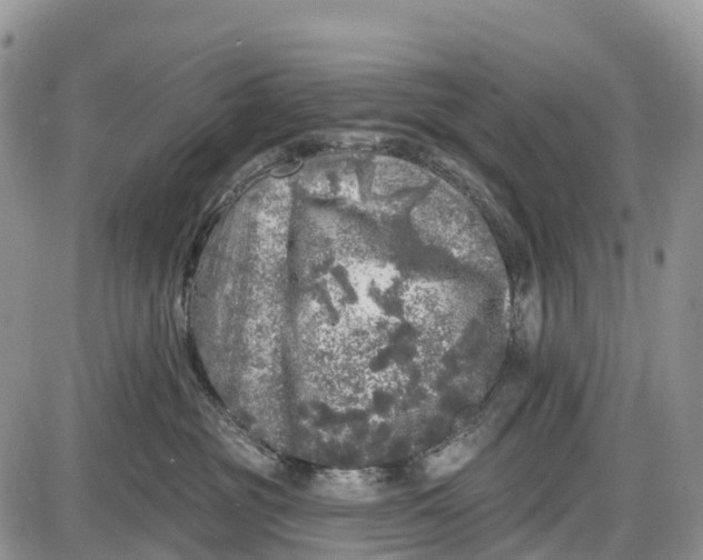 X0000085000381200703191056