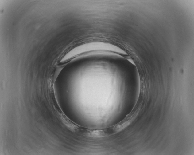 X0000085000382200703191056