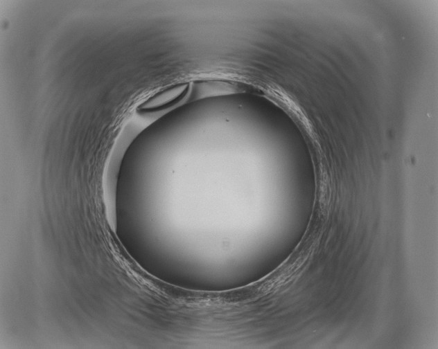 X0000085000385200703191055