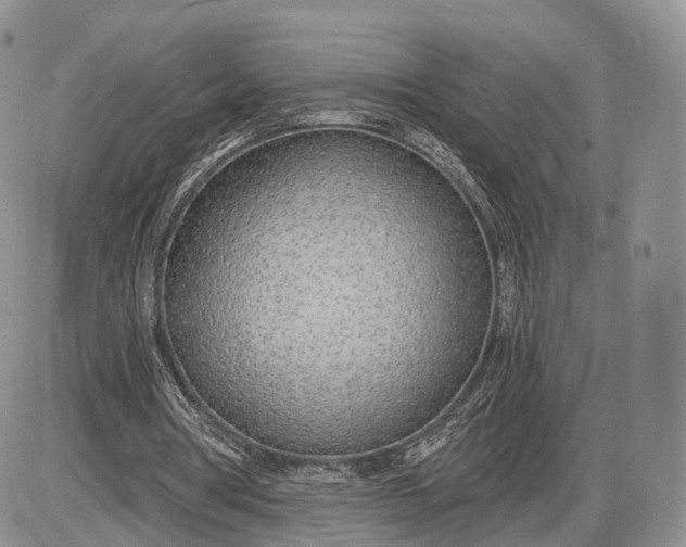 X0000085000386200703191055