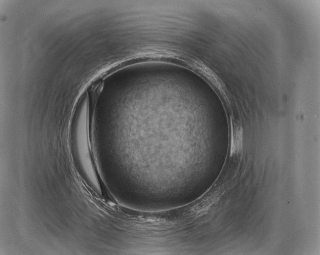 X0000085000387200703191055