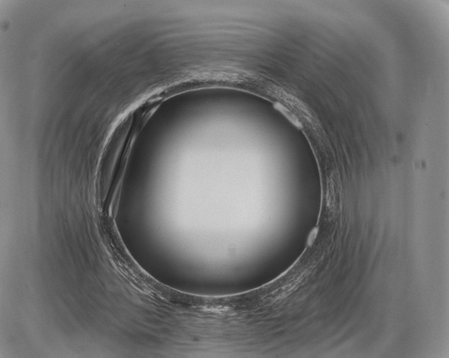 X0000085000388200703191055