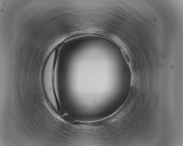 X0000085000389200703191055