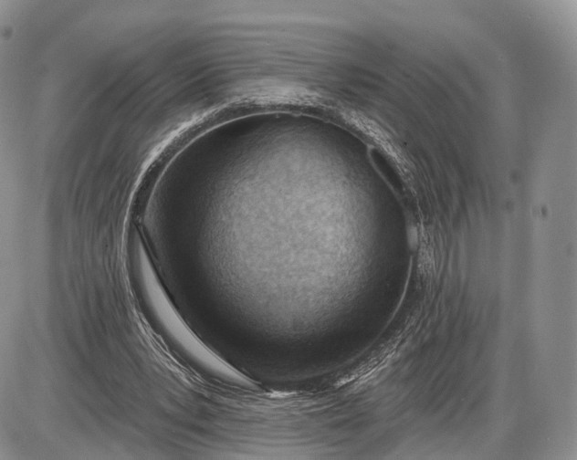 X0000085000391200703191055