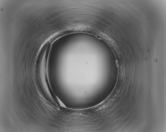 X0000085000392200703191055