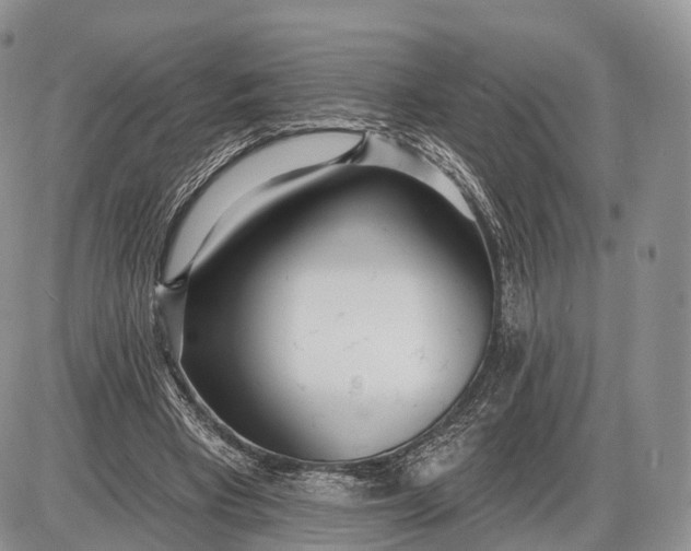 X0000085000393200703191055