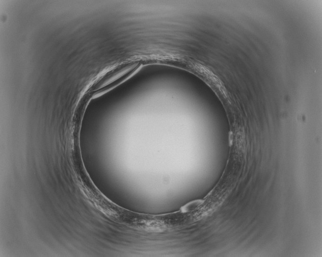 X0000085000395200703191055