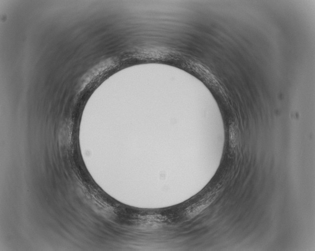 X0000085000396200703191055