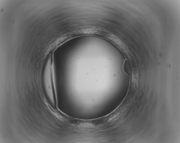 X0000085000397200703191055