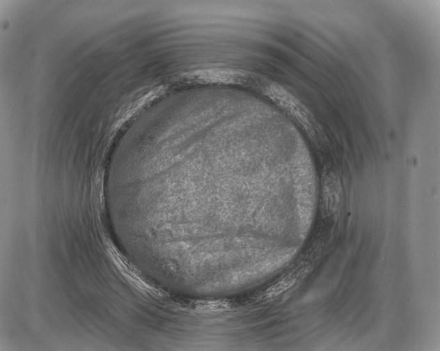 X0000085000398200703191055