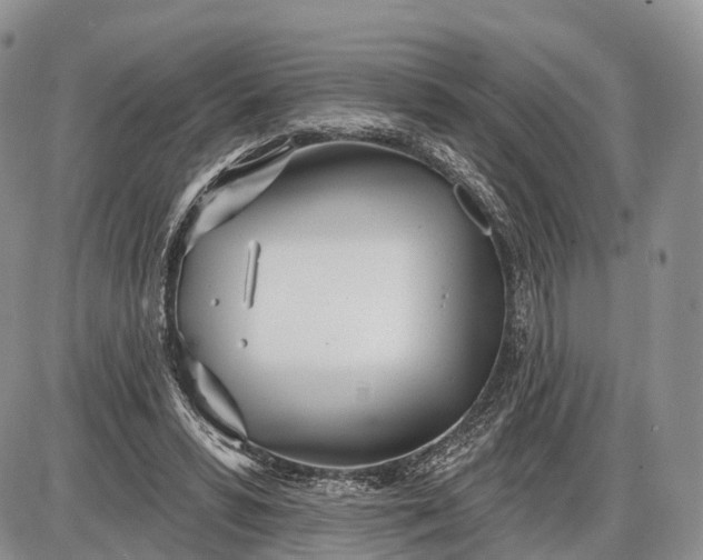 X0000085000399200703191055