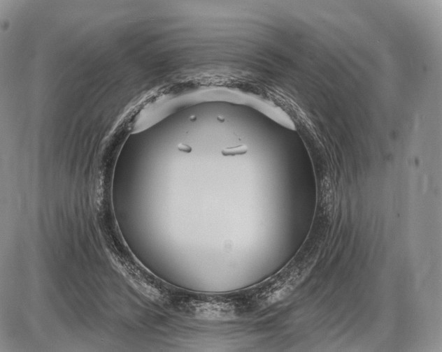 X0000085000400200703191055