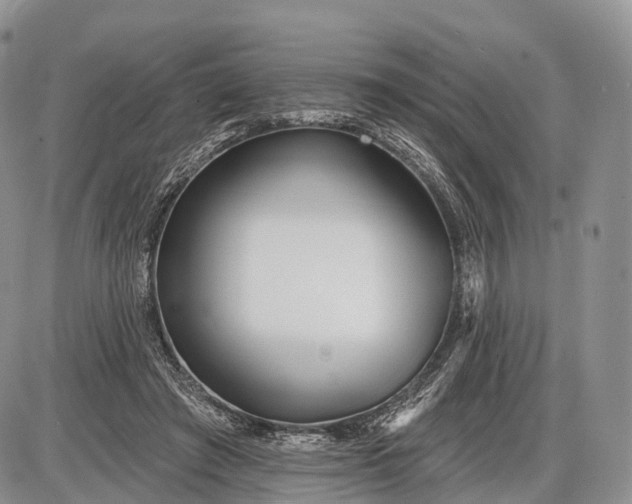 X0000085000401200703191055