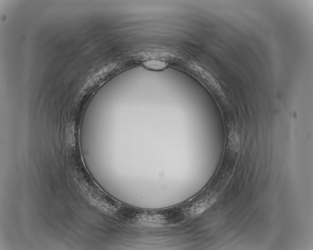 X0000085000403200703191055