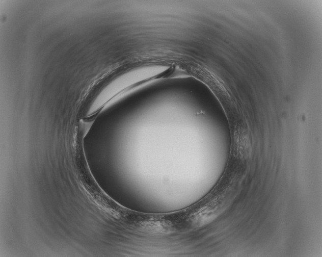 X0000085000404200703191055