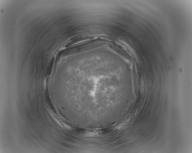 X0000085000405200703191055