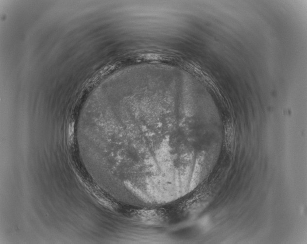 X0000085000406200703191055