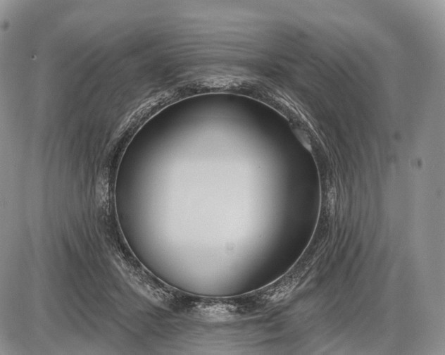 X0000085000407200703191055