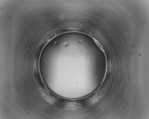 X0000085000408200703191055