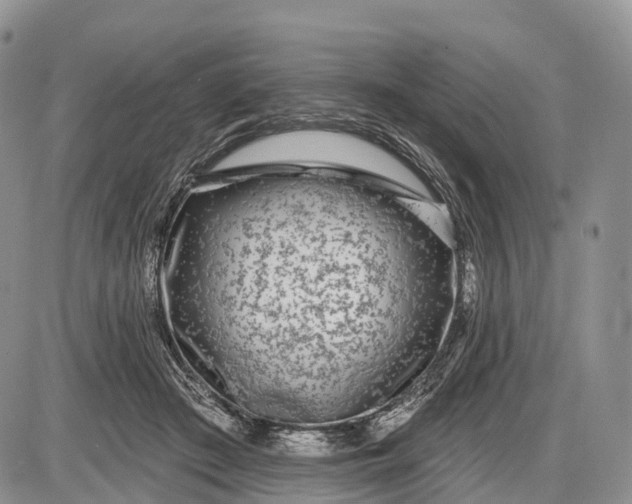 X0000085000409200703191055