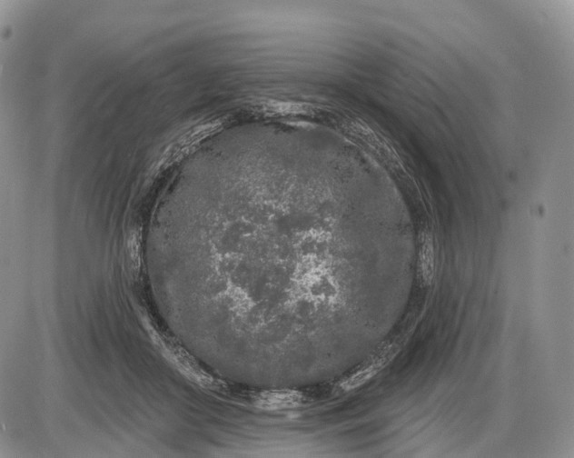 X0000085000410200703191055